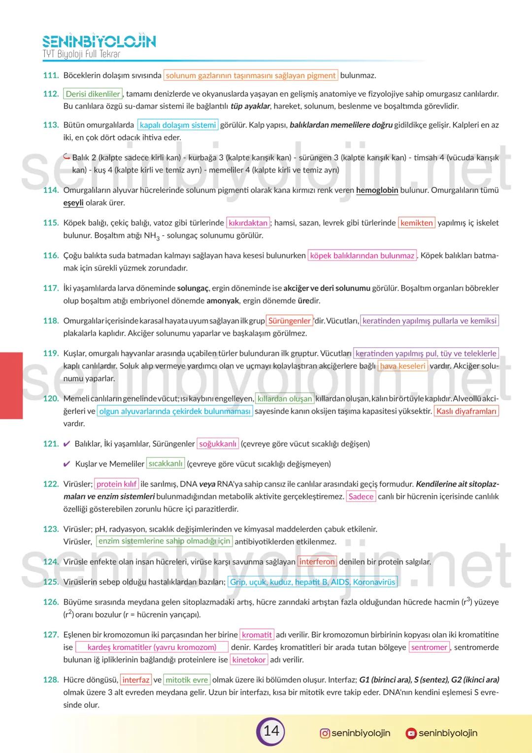 SENINBIYOLOJIN
TYT Biyoloji Full Tekrar
Bu seri TYT ile ilgili önemli olan kısımları "spot bilgi" olarak vermeyi amaçlamaktadır. Serinin fay