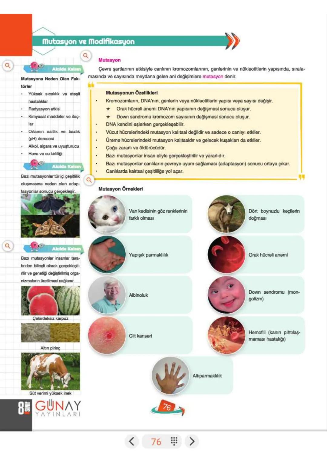 a
Mutasyon ve Modifikasyon
»ÜNİTE
2
Çevresel Faktörler ve Kalıtıma Etkileri
Doğada yaşayan bir canlının kendine özgü özelliklerinin ortaya ç