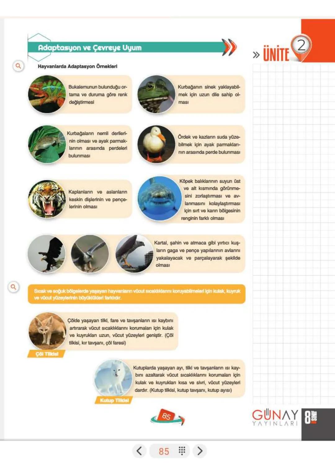 a
Mutasyon ve Modifikasyon
»ÜNİTE
2
Çevresel Faktörler ve Kalıtıma Etkileri
Doğada yaşayan bir canlının kendine özgü özelliklerinin ortaya ç