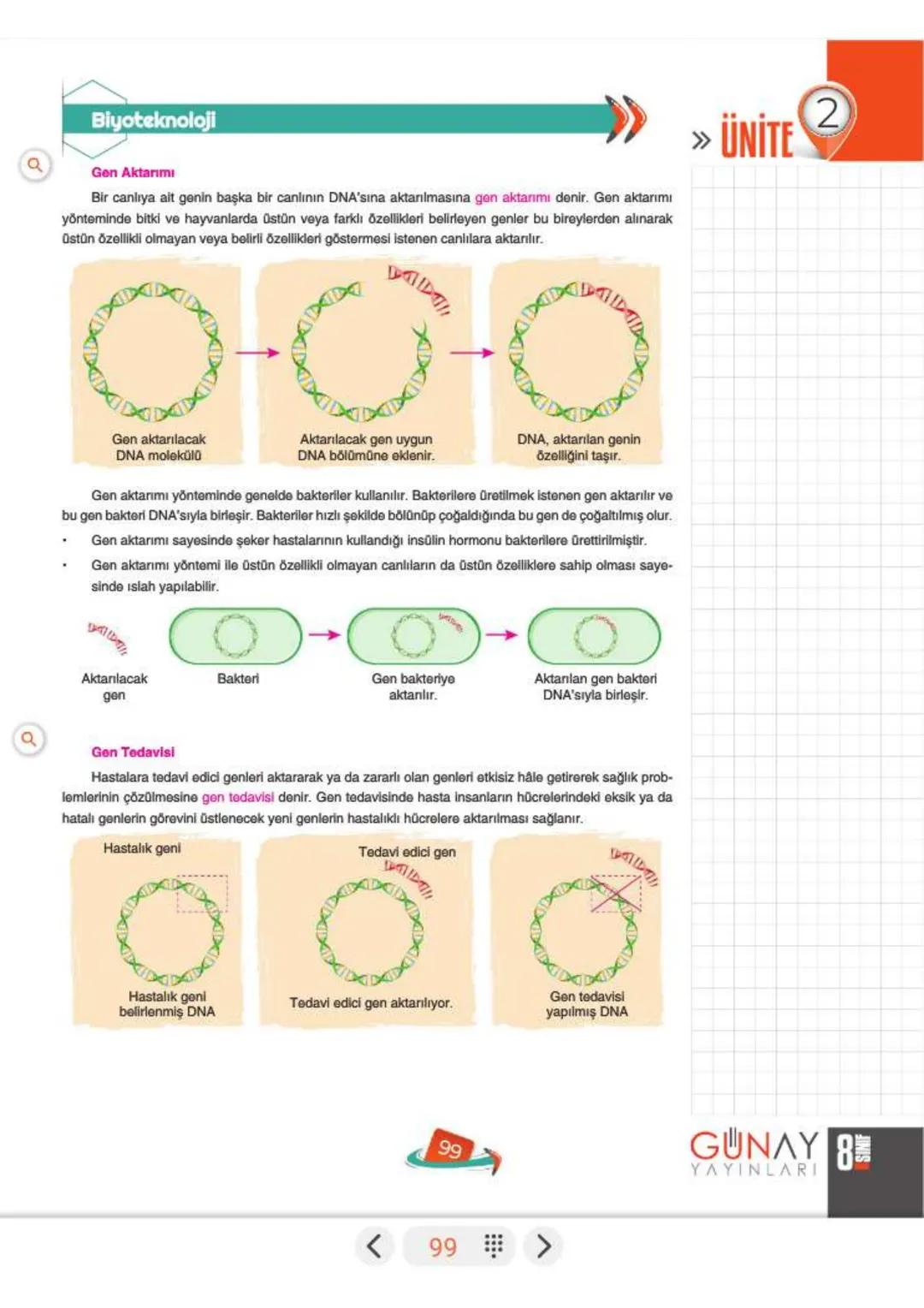 a
Mutasyon ve Modifikasyon
»ÜNİTE
2
Çevresel Faktörler ve Kalıtıma Etkileri
Doğada yaşayan bir canlının kendine özgü özelliklerinin ortaya ç