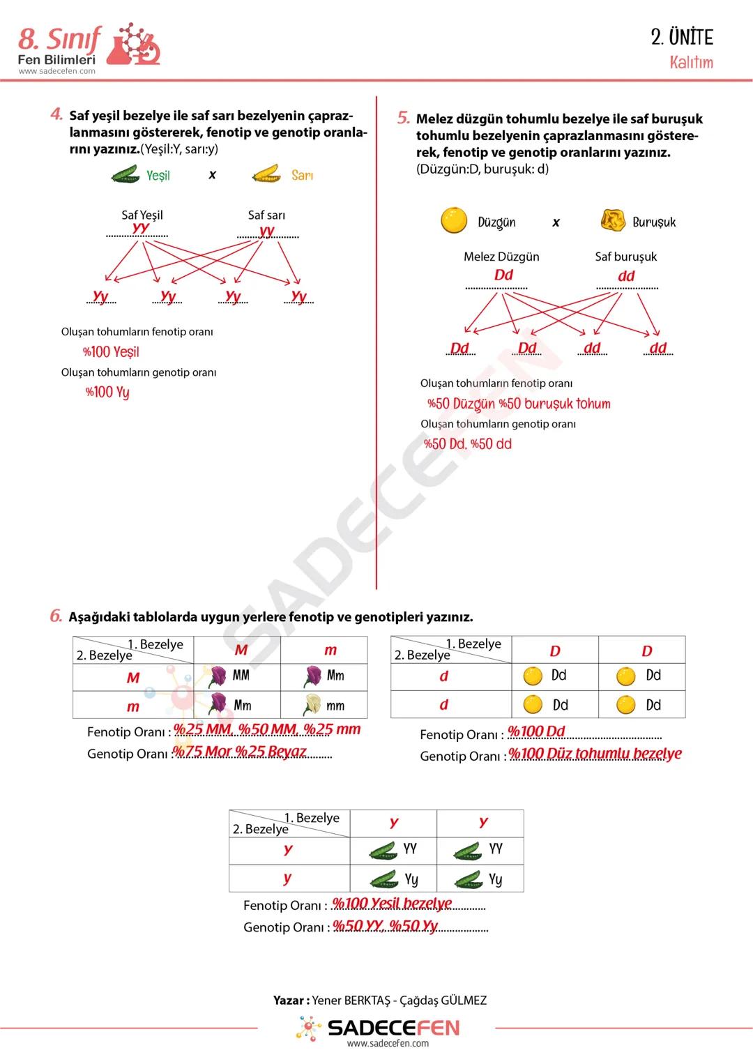 # 8. Sınıf
Fen Bilimleri
www.sadecef
# 2. ÜNİTE
Kalıtım Çalışma Kağıdı
1. Aşağıdaki kavramları verilen cümlelerde uygun alanlara yazınız.