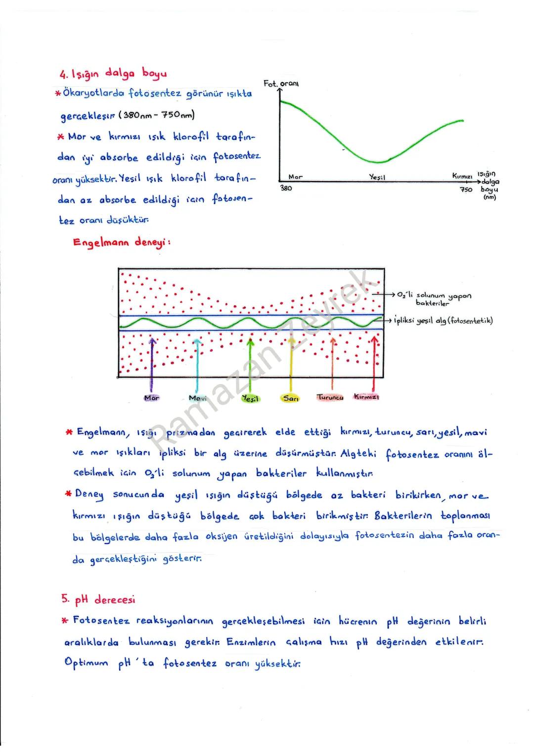 FOTOSENTEZ
*İnorganik maddelerden (CO₂, H₂O yada H₂5) ışık enerjisi kullanılarak organik besin
(Glikoz, Yağ asidi, Gliserol, Aminoasit, Vita