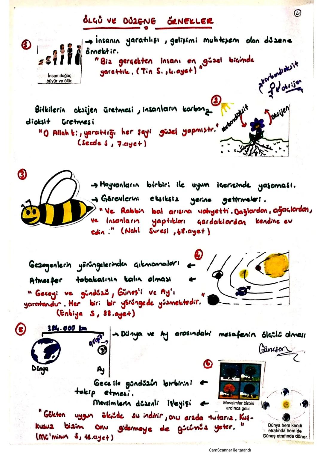 1. UNITE:
DIN
KÜLTÜRÜ VE AHLAK BILGIsi
KADER INANCI
Kader?
4
Каза?
KADER?
* ölçü
* plan
#düzen
- akıl ✓
→irade
ކ
www
.kelime...
*
uyum
her ş