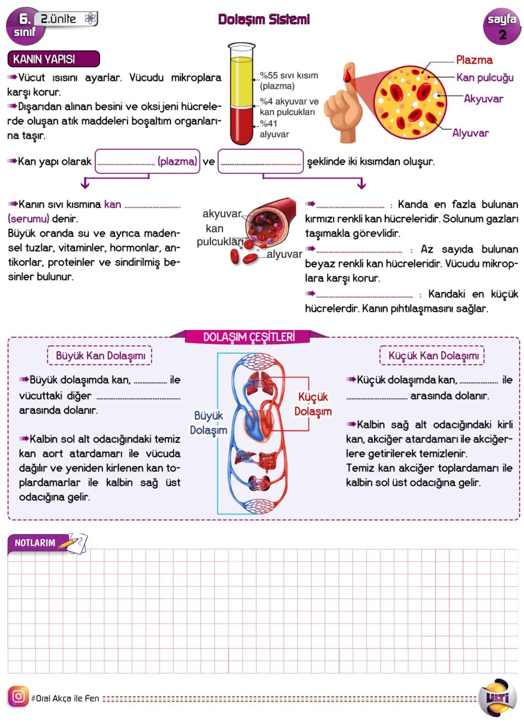 6. 2.Ünite
Sınıf
Dolaşım Sistemi
Vücudumuz için gerekli olan besin ve oksijenin hücrelere taşınmasını, hücrelerde
yaşamsal faaliyetler sonuc