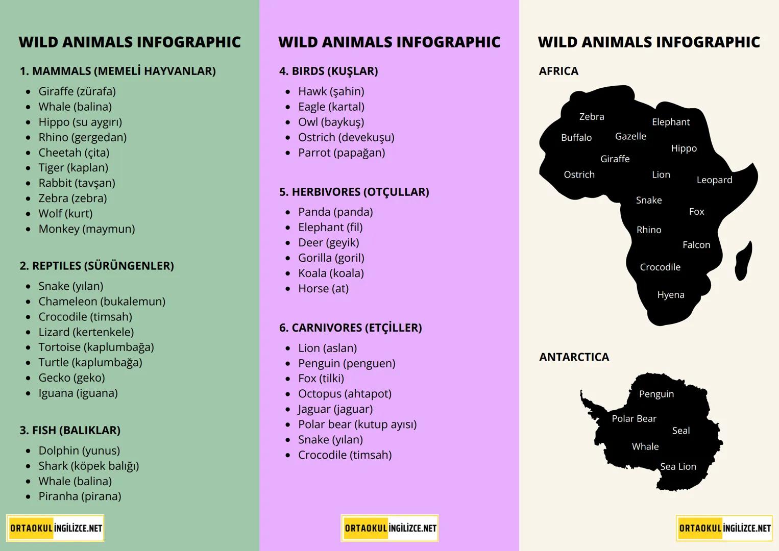 WILD ANIMALS INFOGRAPHIC
1. MAMMALS (MEMELİ HAYVANLAR)
• Giraffe (zürafa)
• Whale (balina)
• Hippo (su aygırı)
• Rhino (gergedan)
• Ch