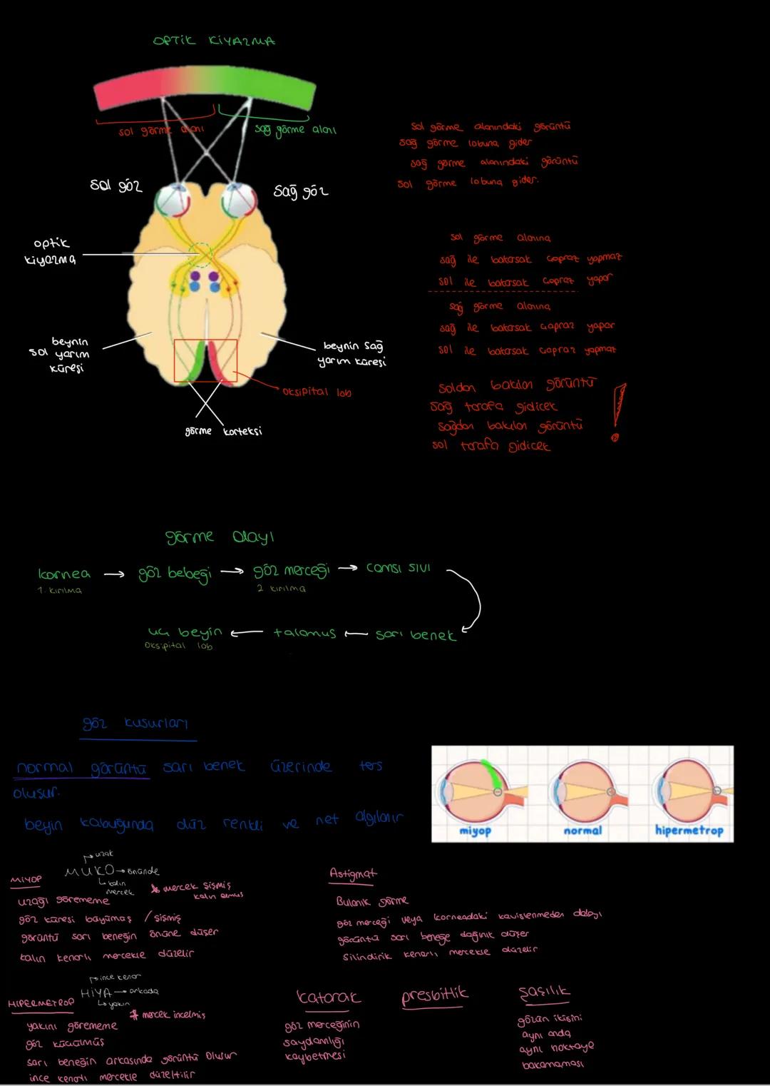 Dugu Organior
1) 602 fotoreseptor
2) kulak meconäreseptor
3) burun teoresepse
4) septe
kemoreseptor
5) deri cuper
tervore ep46C
duyu organla