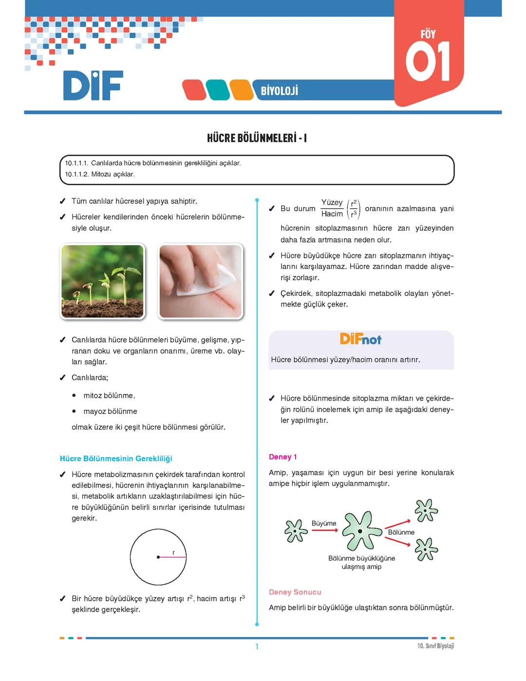 10. sınıf biyoloji