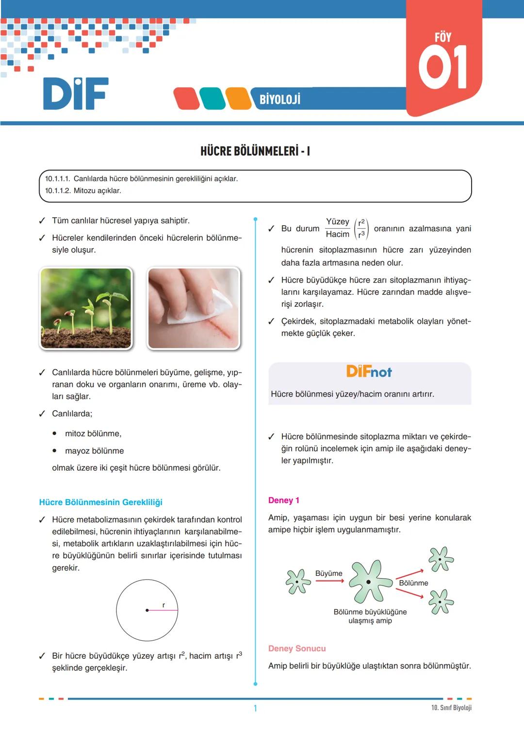 DIF
BİYOLOJİ
FÖY
01
HÜCRE BÖLÜNMELERİ - I
10.1.1.1. Canlılarda hücre bölünmesinin gerekliliğini açıklar.
10.1.1.2. Mitozu açıklar.
Tüm canlı