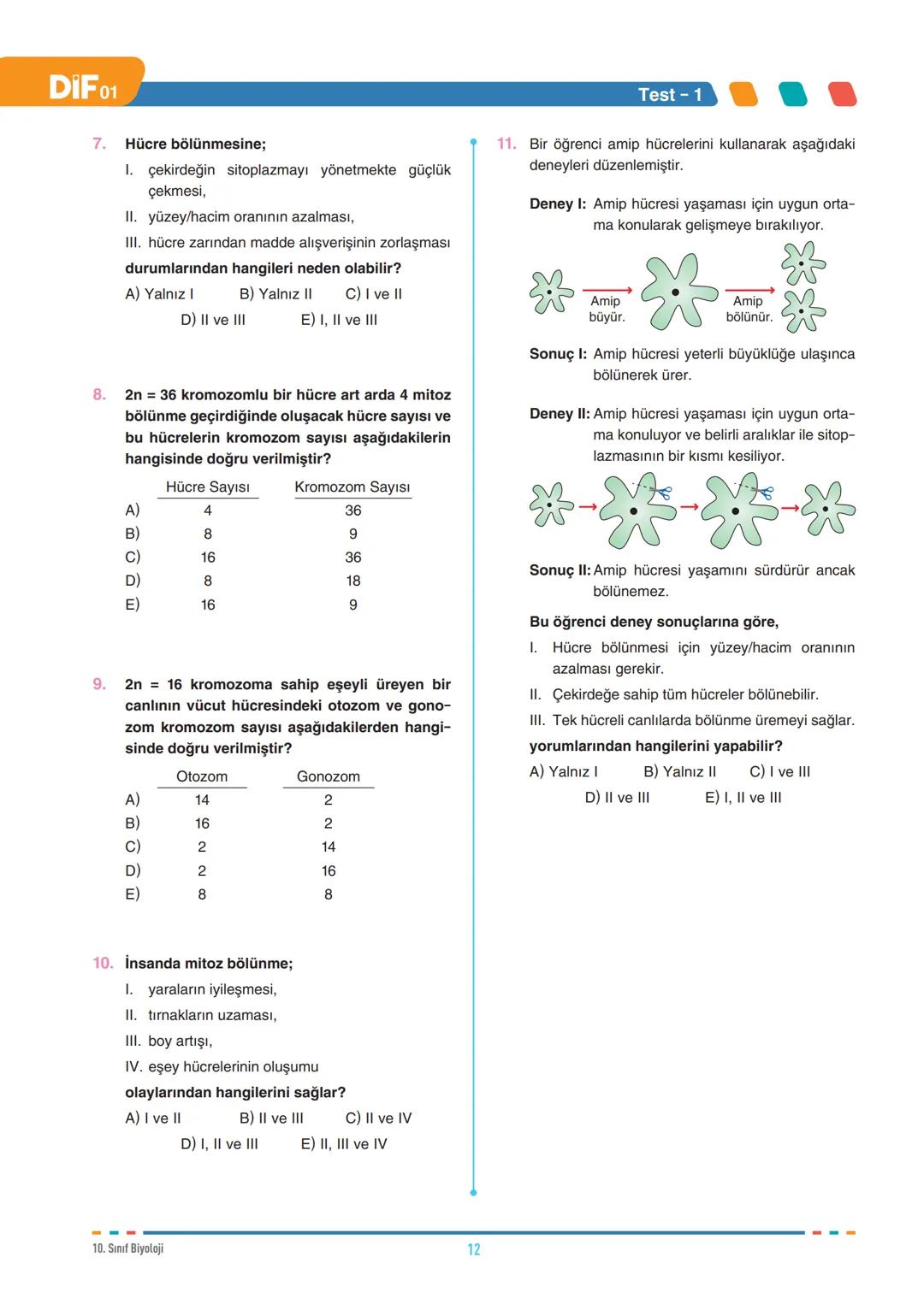 DIF
BİYOLOJİ
FÖY
01
HÜCRE BÖLÜNMELERİ - I
10.1.1.1. Canlılarda hücre bölünmesinin gerekliliğini açıklar.
10.1.1.2. Mitozu açıklar.
Tüm canlı