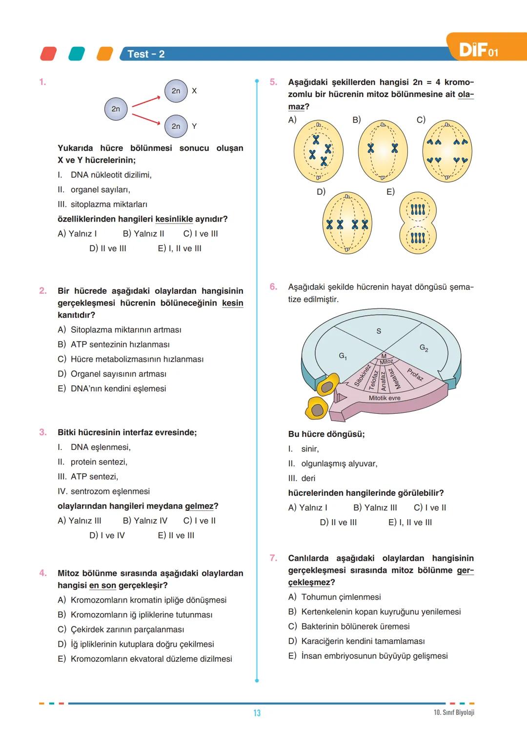 DIF
BİYOLOJİ
FÖY
01
HÜCRE BÖLÜNMELERİ - I
10.1.1.1. Canlılarda hücre bölünmesinin gerekliliğini açıklar.
10.1.1.2. Mitozu açıklar.
Tüm canlı