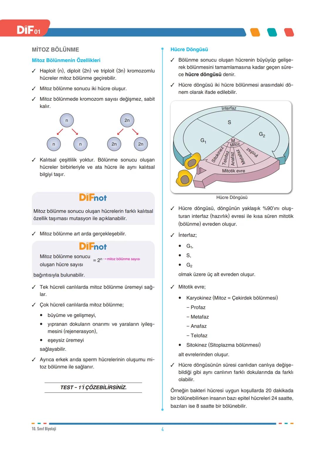 DIF
BİYOLOJİ
FÖY
01
HÜCRE BÖLÜNMELERİ - I
10.1.1.1. Canlılarda hücre bölünmesinin gerekliliğini açıklar.
10.1.1.2. Mitozu açıklar.
Tüm canlı