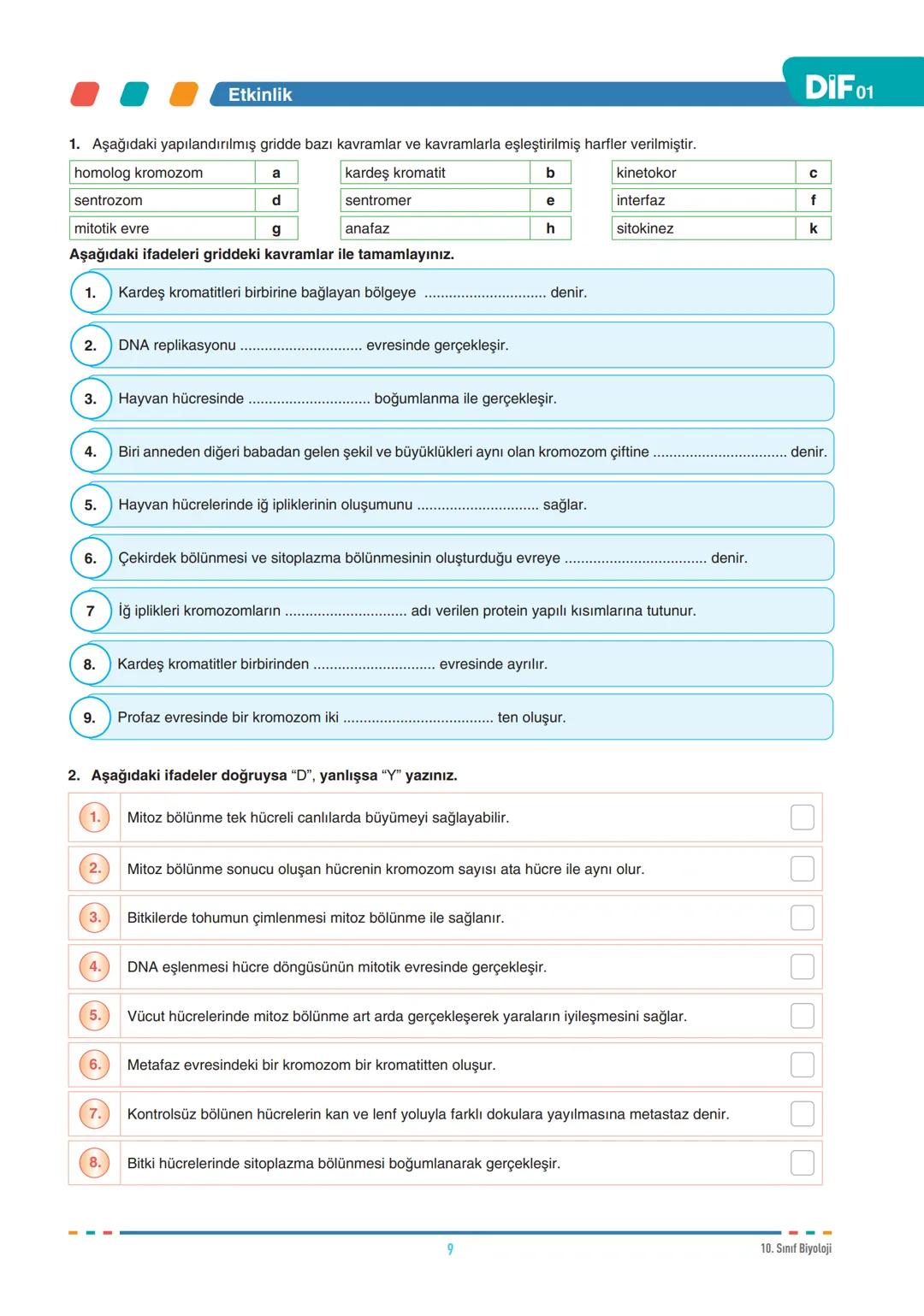 DIF
BİYOLOJİ
FÖY
01
HÜCRE BÖLÜNMELERİ - I
10.1.1.1. Canlılarda hücre bölünmesinin gerekliliğini açıklar.
10.1.1.2. Mitozu açıklar.
Tüm canlı