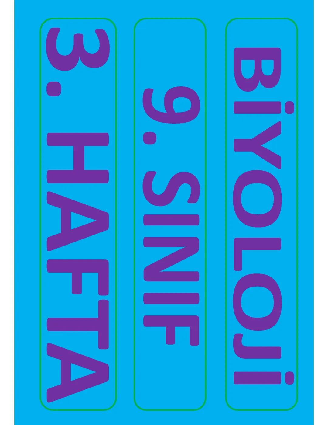 Yeni Müfredat | Bilimsel Araştırma Süreçleri | Mehmet Şerif Varlık - YouTube