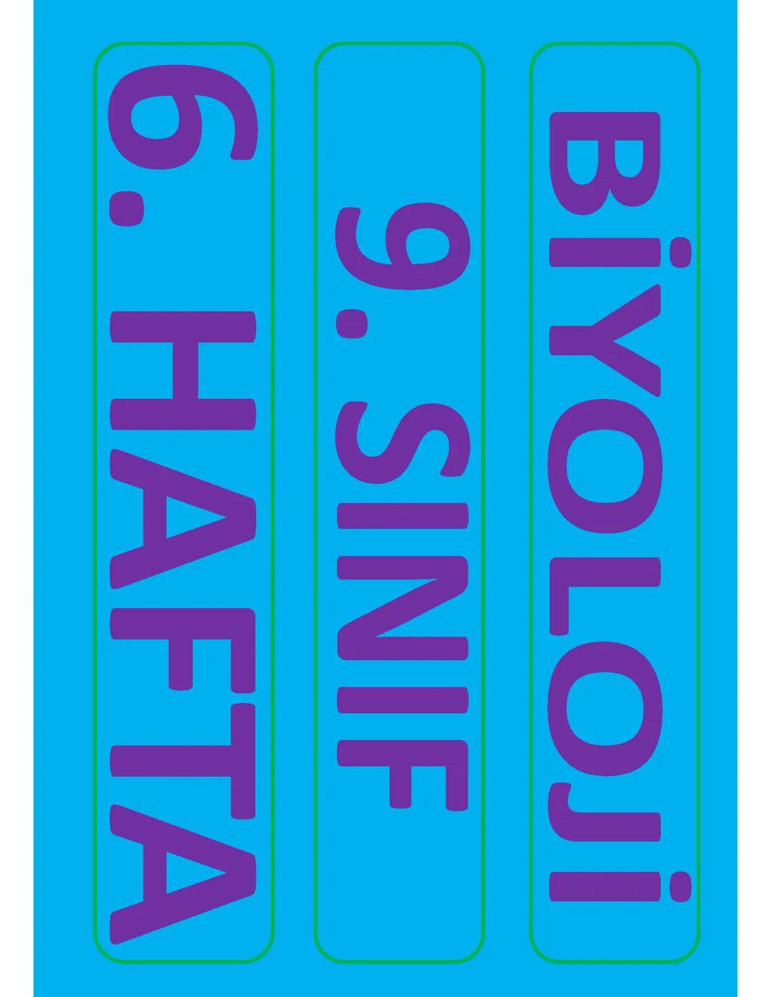 Yeni Müfredat | Canlıların Ortak Özellikleri 2/2 | YouTube - Mehmet Şerif Varlık