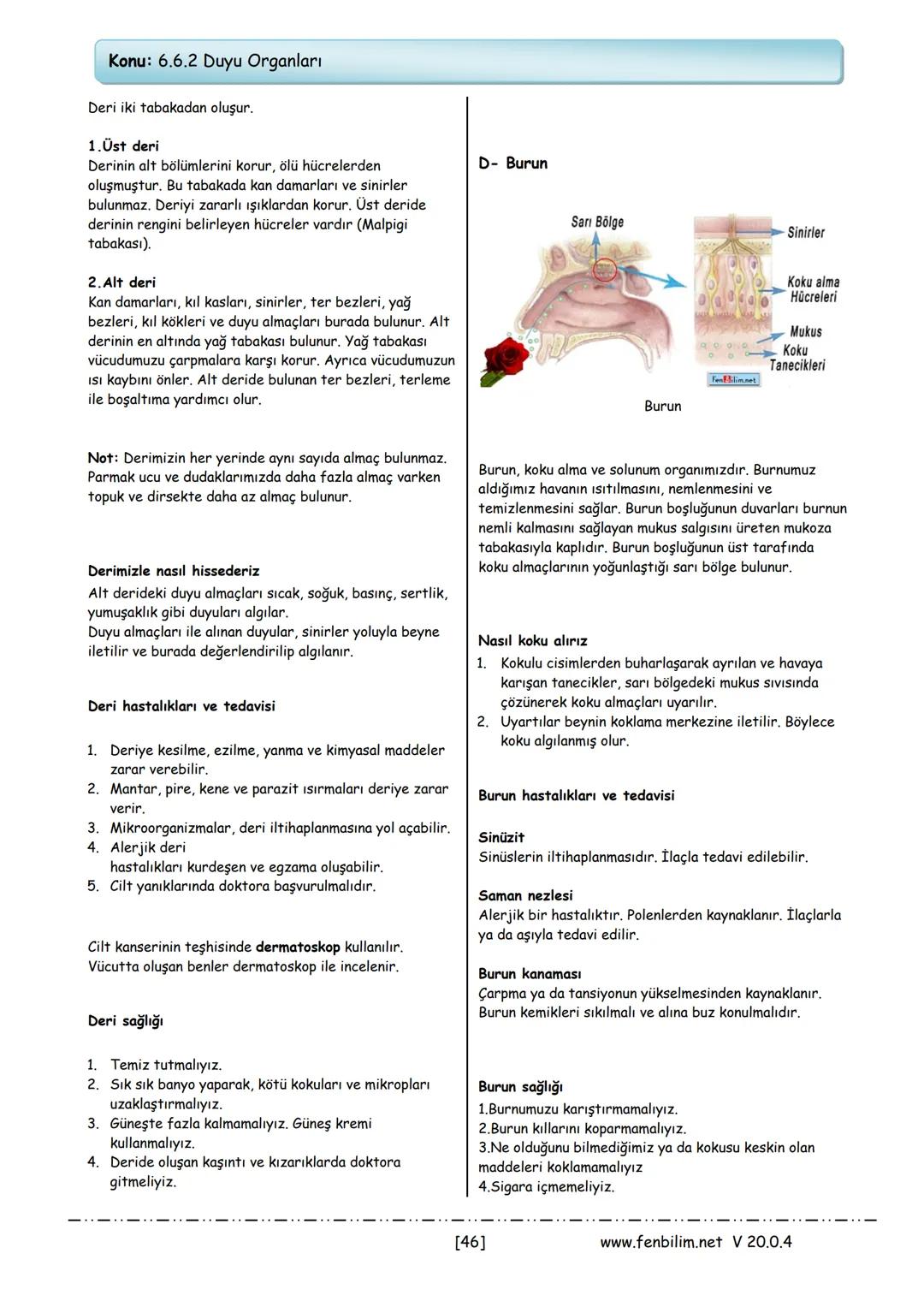 # 6.Sınıf Fen Bilimleri
## Ders Notları
Barış ZEREN
Fen Bilimleri Öğretmeni # 1.Ünite: Güneş Sistemi ve Tutulmalar
Konu: 6.1.1 Güneş Sist