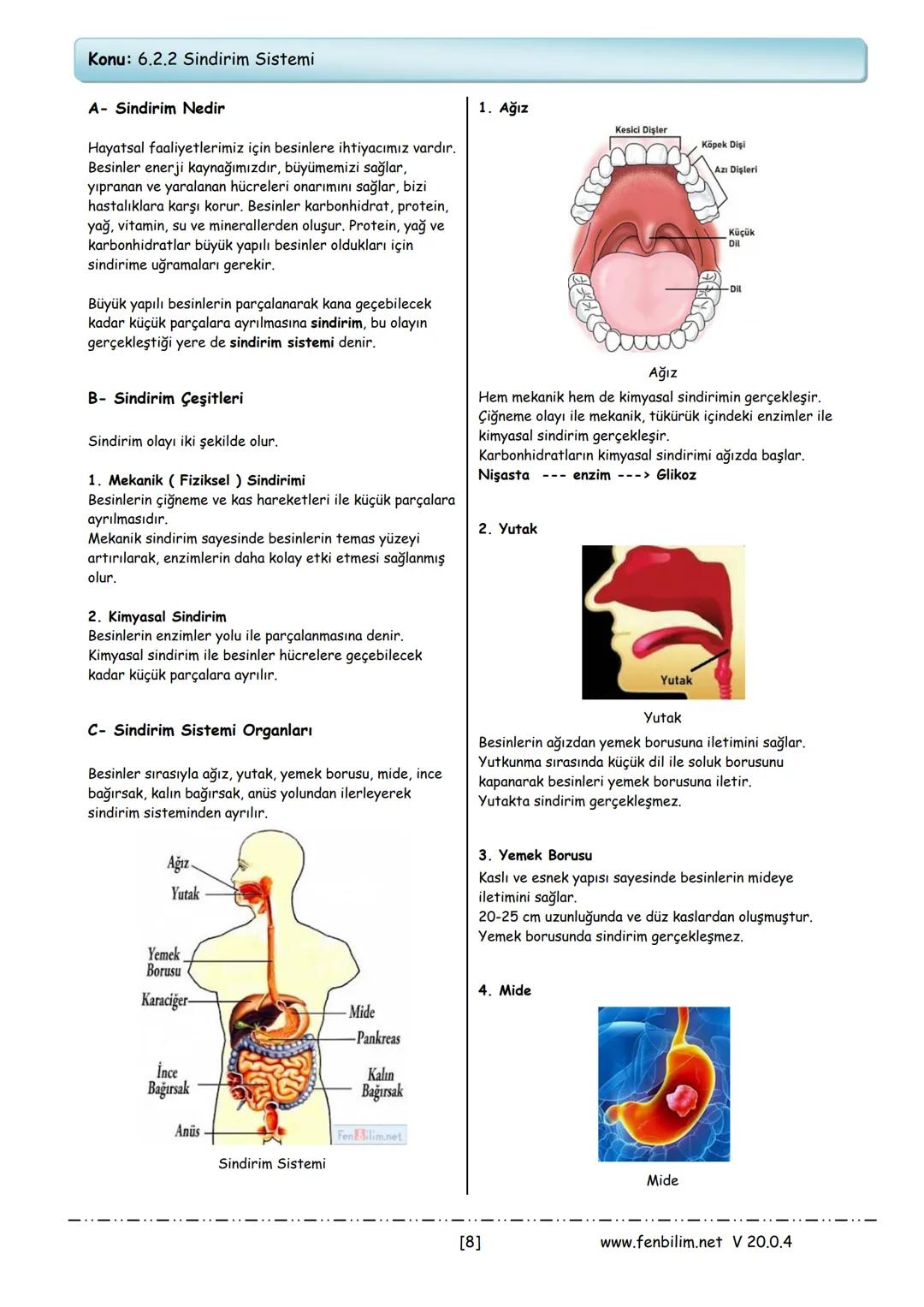 6.Sınıf Fen Bilimleri
Ders Notları
Barış ZEREN
Fen Bilimleri Öğretmeni 1.Ünite: Güneş Sistemi ve Tutulmalar
Konu: 6.1.1 Güneş Sistemi
Güneş