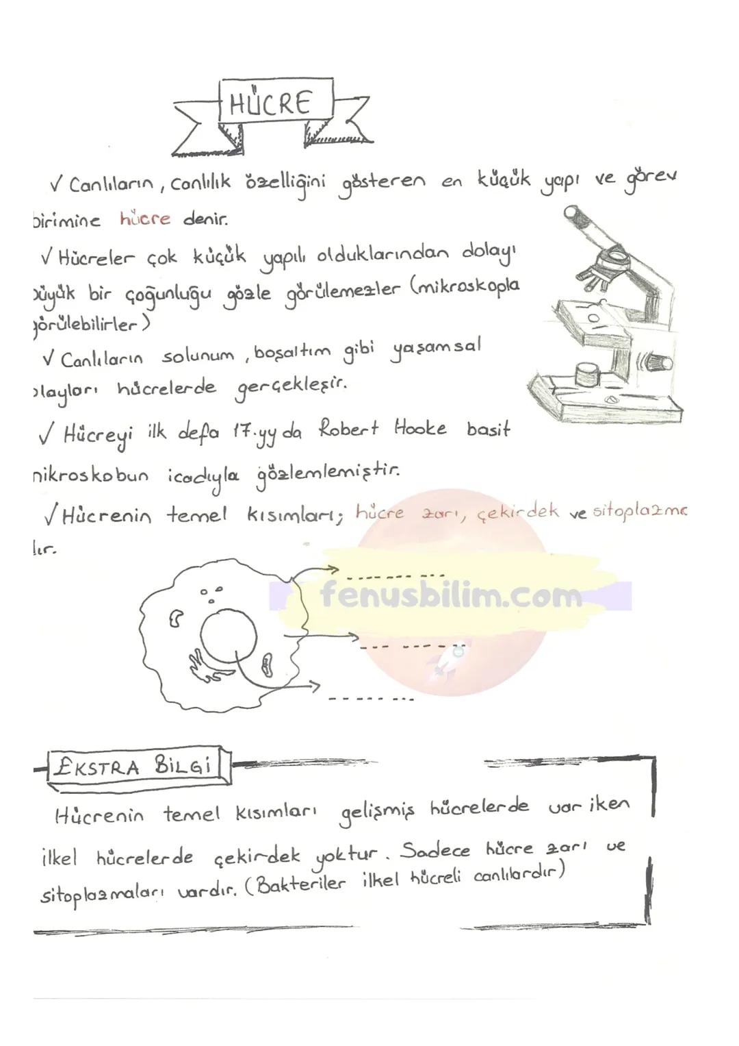 HÜCRE
✓ Canlıların, Canlılık özelliğini gösteren en küçük yapı ve görev
birimine hücre denir.
✓ Hücreler çok küçük yapılı olduklarından do