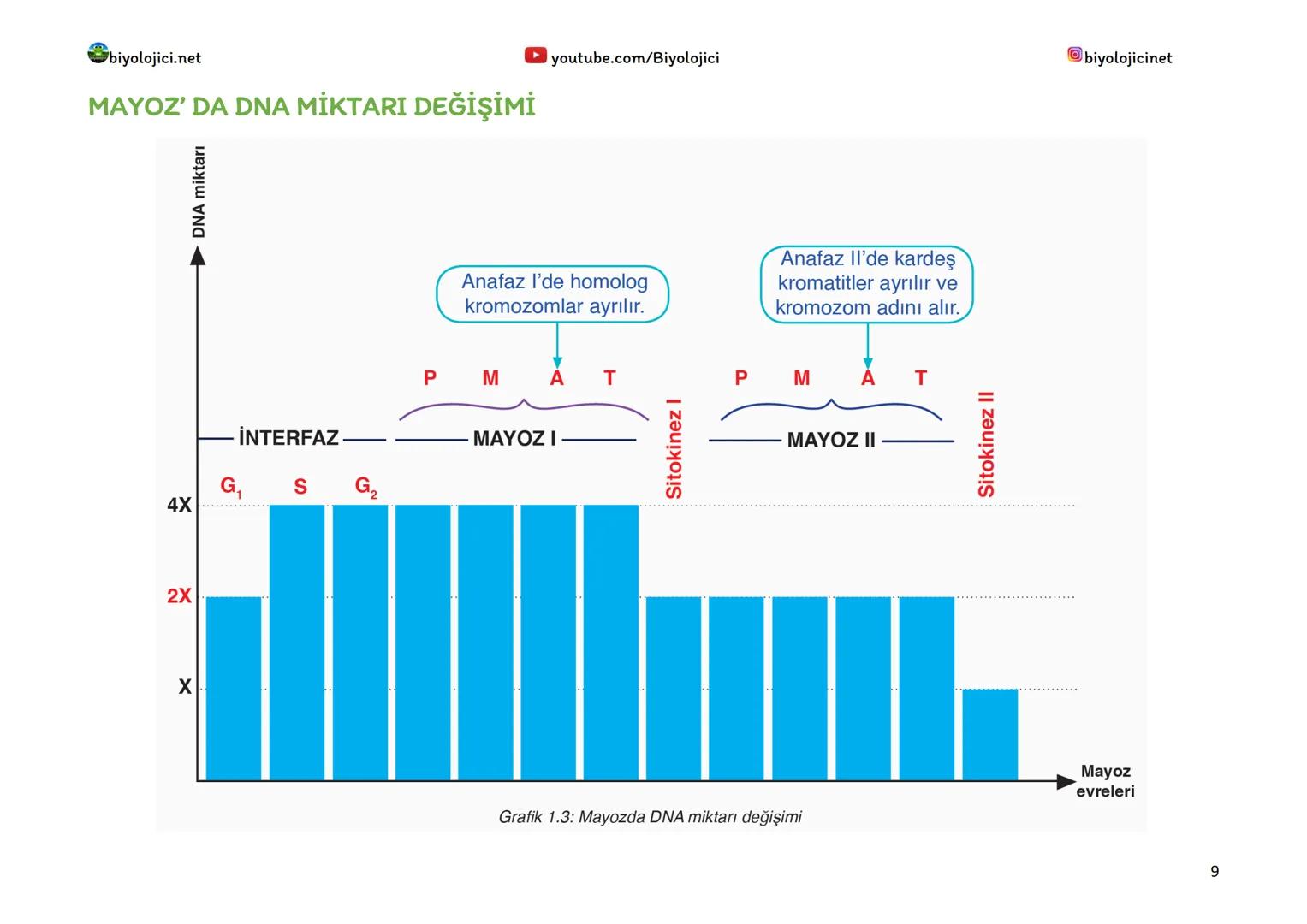 biyolojici.net
MAYOZ BÖLÜNME
☑ youtube.com/Biyolojici
*Mayoz, canlıların üreme organlarındaki eşey ana hücrelerinde (üreme ana hücreleri) me