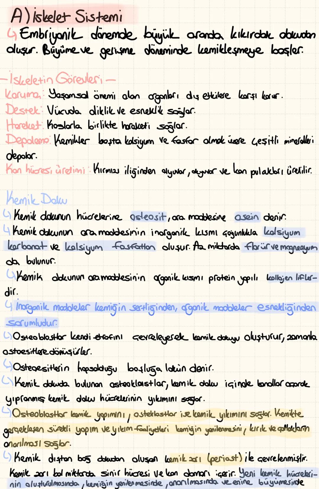 A) iskelet Sistemi
4
Embriyanik dönemde büyük oranda kıkırdak dokuden
dluşur. Büyüme ve gelişme döneminde kemikleşmeye başler.
-Iskeletin Gö