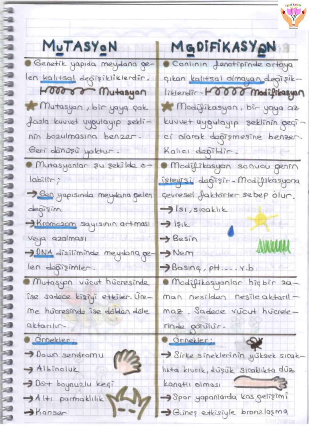 2. UNITE
ONA VE GENETIX KOD
1-DNA VE GENETIK KOP
Gen
GE
zel
protein
Ваз
D
Hücre
Kromosom
KE
Nükleotid
NI
ONA
FENCI ANN
Huere: Canlıla