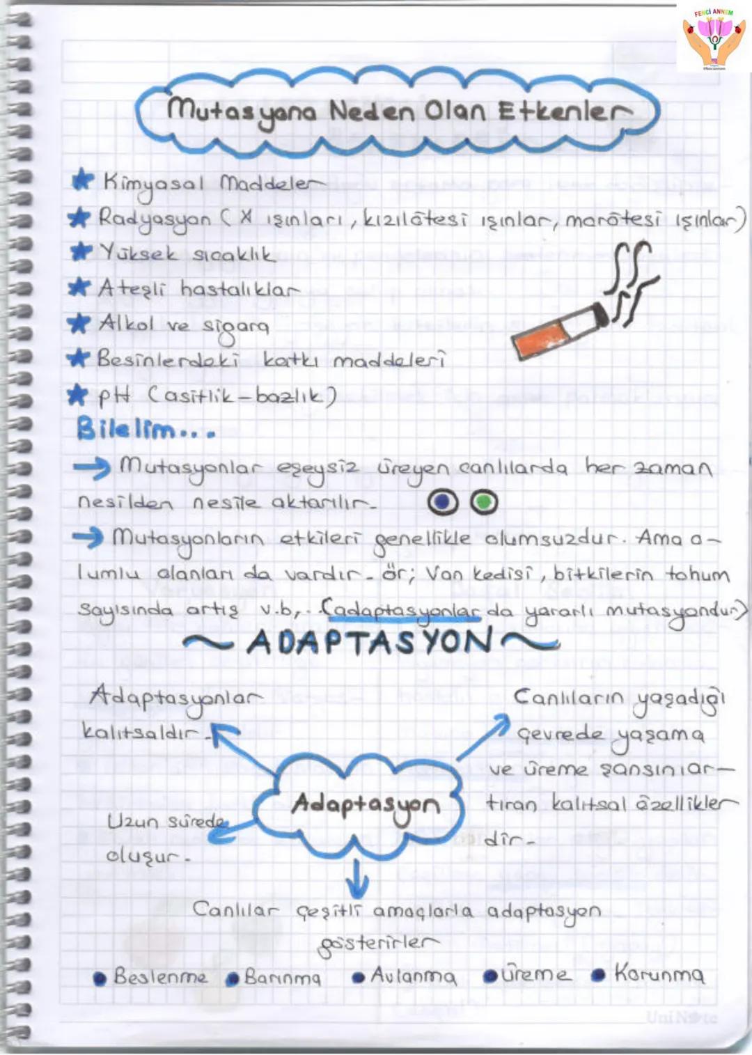 2. UNITE
ONA VE GENETIX KOD
1-DNA VE GENETIK KOP
Gen
GE
zel
protein
Ваз
D
Hücre
Kromosom
KE
Nükleotid
NI
ONA
FENCI ANN
Huere: Canlıla