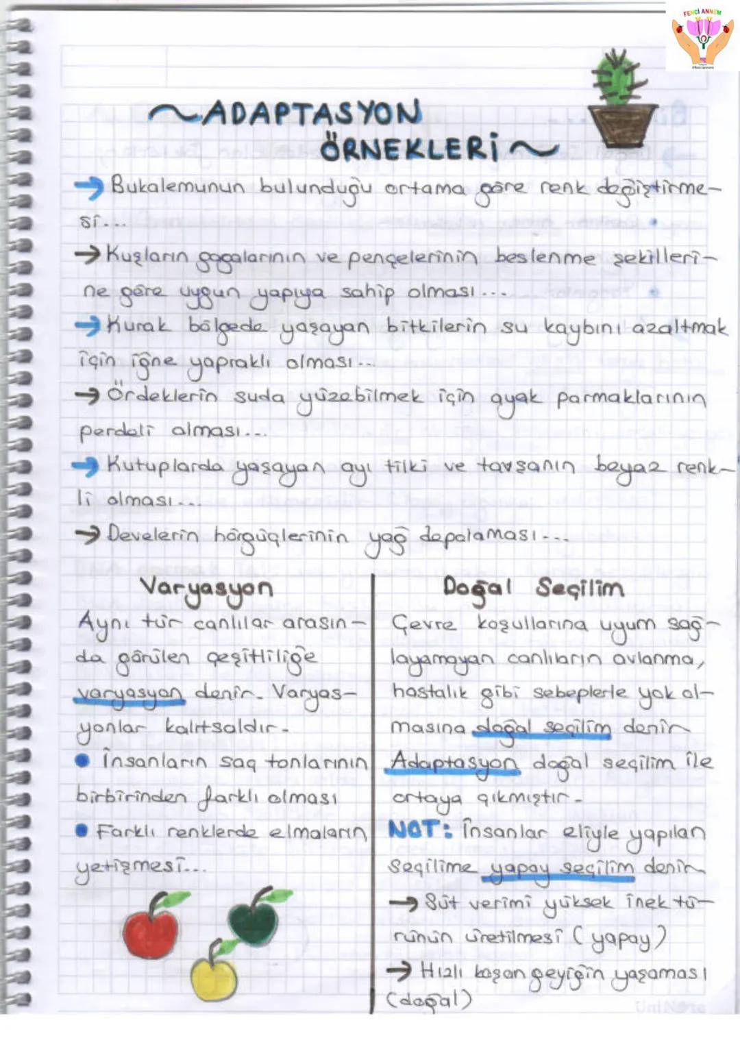 2. UNITE
ONA VE GENETIX KOD
1-DNA VE GENETIK KOP
Gen
GE
zel
protein
Ваз
D
Hücre
Kromosom
KE
Nükleotid
NI
ONA
FENCI ANN
Huere: Canlıla