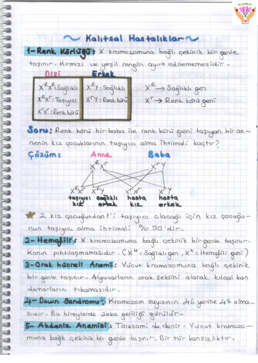 2. UNITE
ONA VE GENETIX KOD
1-DNA VE GENETIK KOP
Gen
GE
zel
protein
Ваз
D
Hücre
Kromosom
KE
Nükleotid
NI
ONA
FENCI ANN
Huere: Canlıla