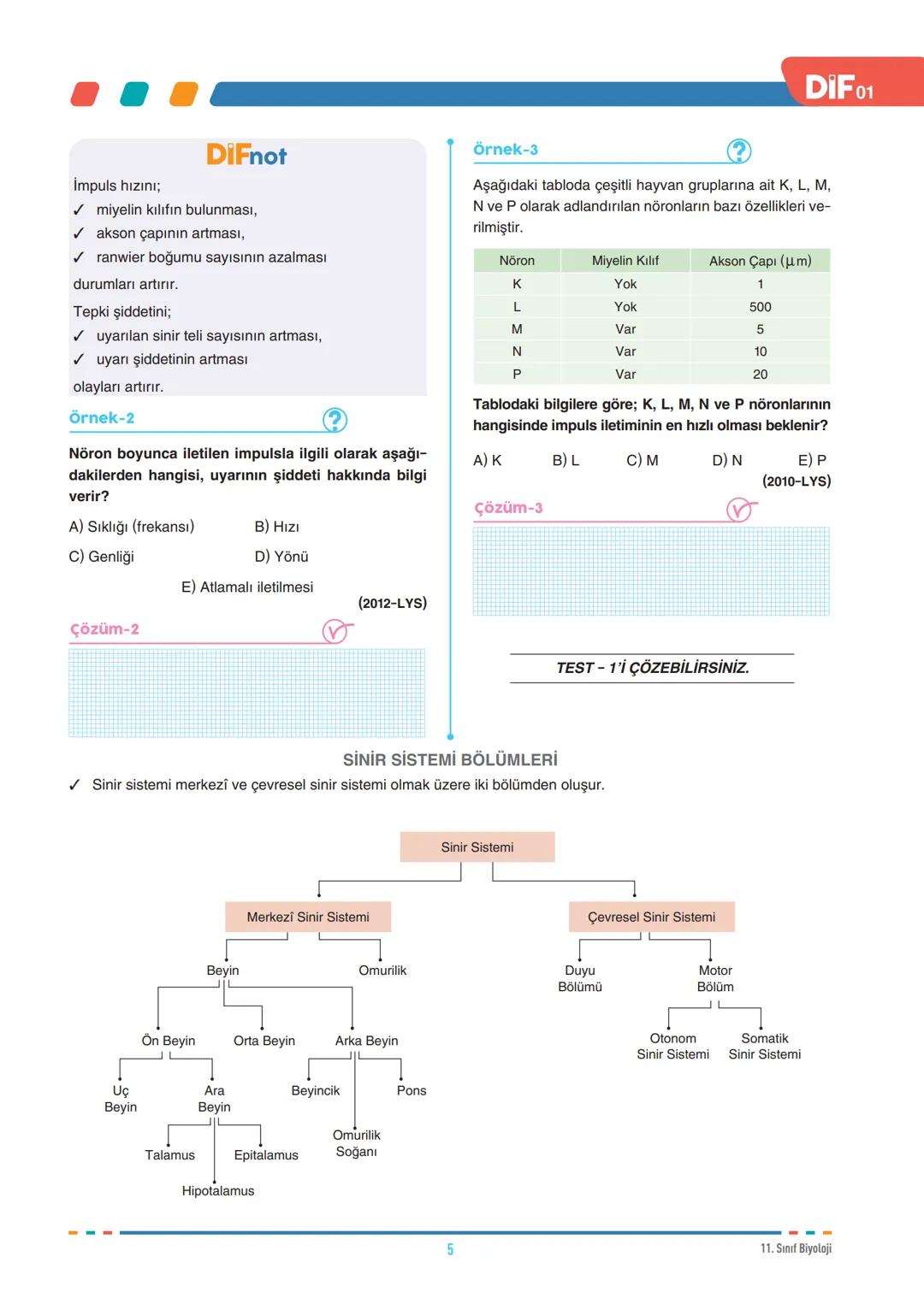 DIF
BİYOLOJİ
SİNİR SİSTEMİ
FÖY
01
11.1.1.1. Sinir sisteminin yapı, görev ve işleyişini açıklar.
11.1.1.3. Sinir sistemi rahatsızlıklarına ör