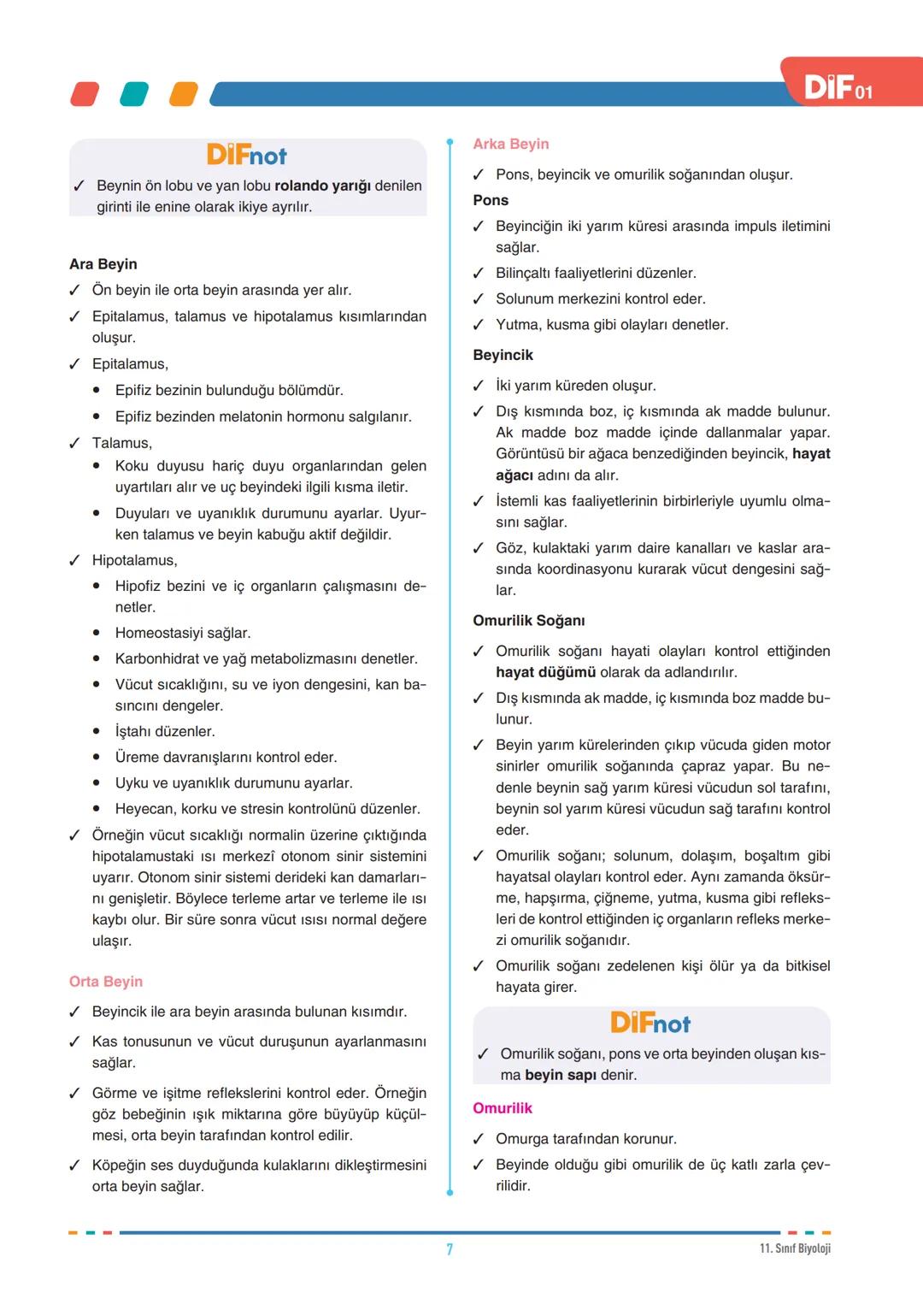 DIF
BİYOLOJİ
SİNİR SİSTEMİ
FÖY
01
11.1.1.1. Sinir sisteminin yapı, görev ve işleyişini açıklar.
11.1.1.3. Sinir sistemi rahatsızlıklarına ör