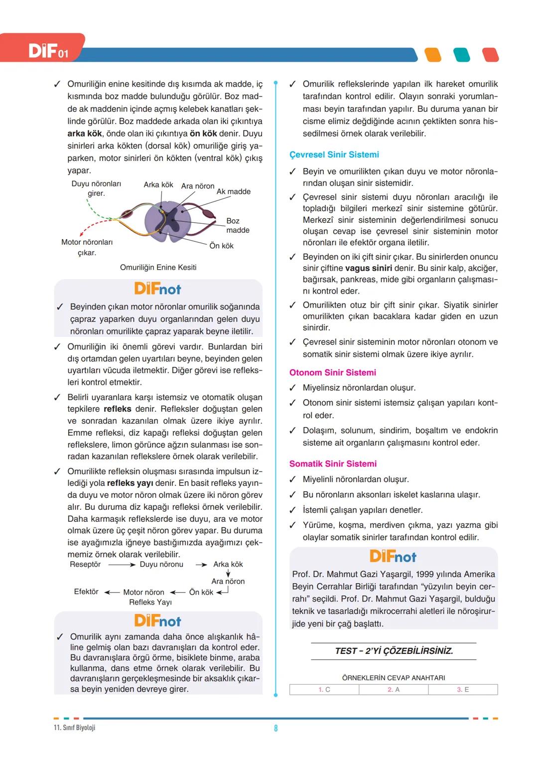 DIF
BİYOLOJİ
SİNİR SİSTEMİ
FÖY
01
11.1.1.1. Sinir sisteminin yapı, görev ve işleyişini açıklar.
11.1.1.3. Sinir sistemi rahatsızlıklarına ör