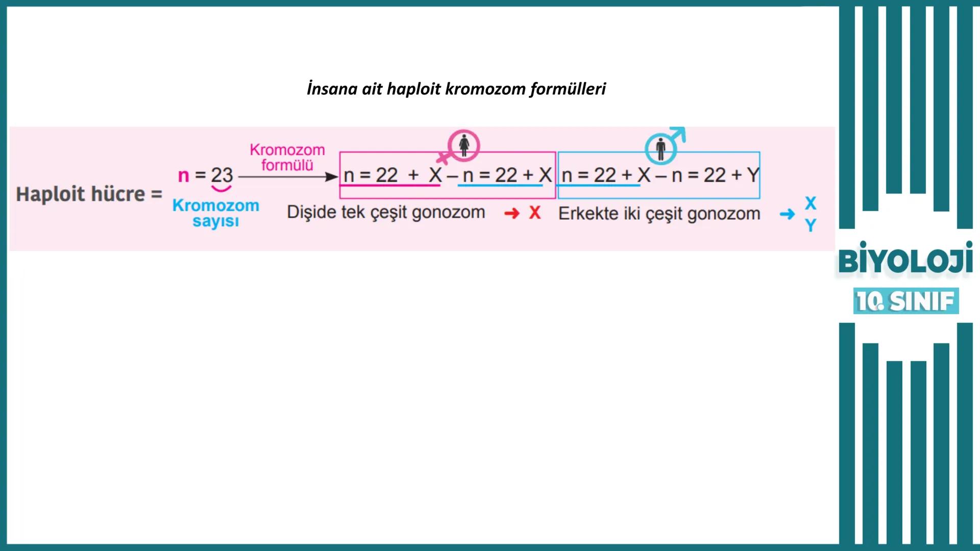 BİYOLOJİ
Kona Anfatimalo
Soru Bankası
小
1.
ÜNİTE
10.SINIF
BENİM
HOCAM
LİSE
Hücre Bölünmeleri
benim hocam
10
11 12
76
2 KAZANIM 10.1.1.1. Can