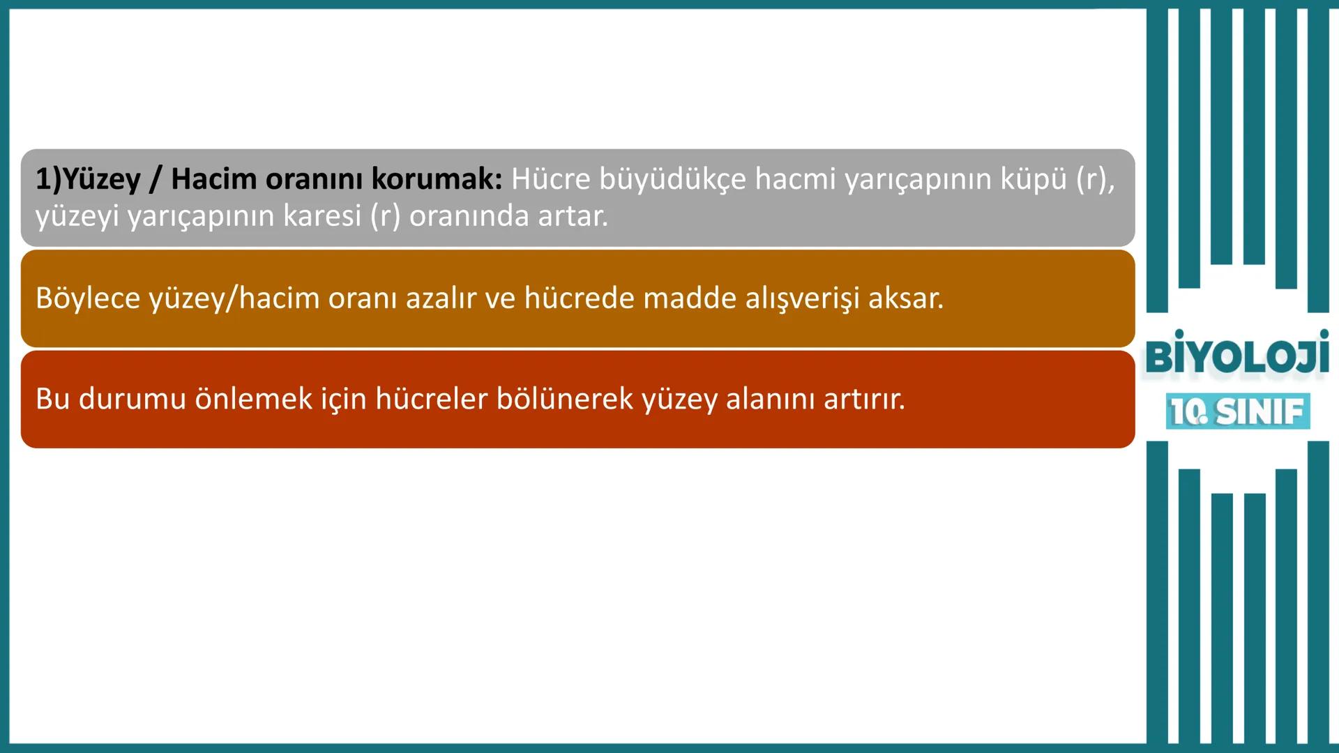BİYOLOJİ
Kona Anfatimalo
Soru Bankası
小
1.
ÜNİTE
10.SINIF
BENİM
HOCAM
LİSE
Hücre Bölünmeleri
benim hocam
10
11 12
76
2 KAZANIM 10.1.1.1. Can