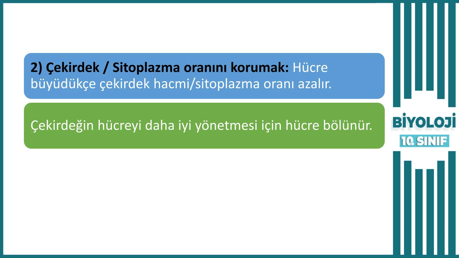 BİYOLOJİ
Kona Anfatimalo
Soru Bankası
小
1.
ÜNİTE
10.SINIF
BENİM
HOCAM
LİSE
Hücre Bölünmeleri
benim hocam
10
11 12
76
2 KAZANIM 10.1.1.1. Can