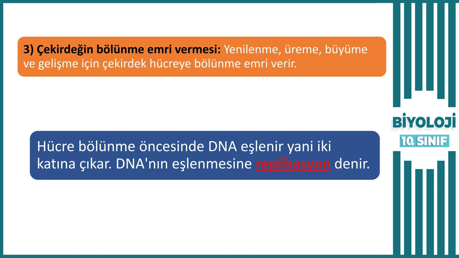 BİYOLOJİ
Kona Anfatimalo
Soru Bankası
小
1.
ÜNİTE
10.SINIF
BENİM
HOCAM
LİSE
Hücre Bölünmeleri
benim hocam
10
11 12
76
2 KAZANIM 10.1.1.1. Can