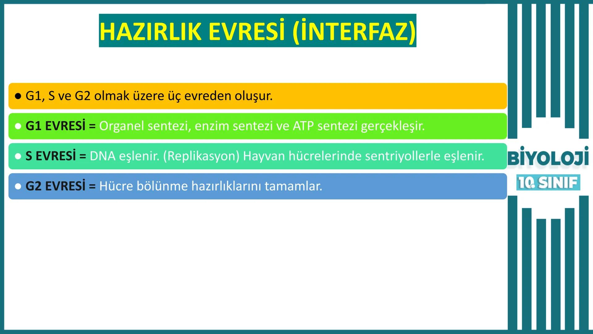 BİYOLOJİ
Kona Anfatimalo
Soru Bankası
小
1.
ÜNİTE
10.SINIF
BENİM
HOCAM
LİSE
Hücre Bölünmeleri
benim hocam
10
11 12
76
2 KAZANIM 10.1.1.1. Can