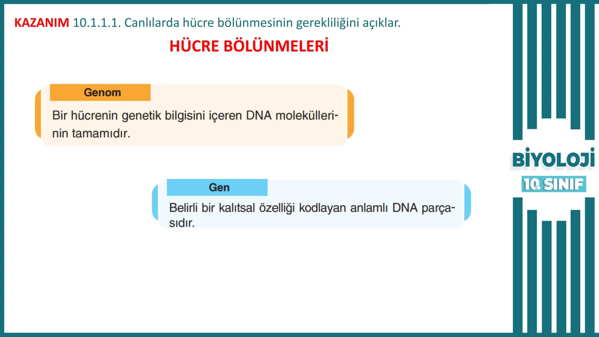 BİYOLOJİ
Kona Anfatimalo
Soru Bankası
小
1.
ÜNİTE
10.SINIF
BENİM
HOCAM
LİSE
Hücre Bölünmeleri
benim hocam
10
11 12
76
2 KAZANIM 10.1.1.1. Can
