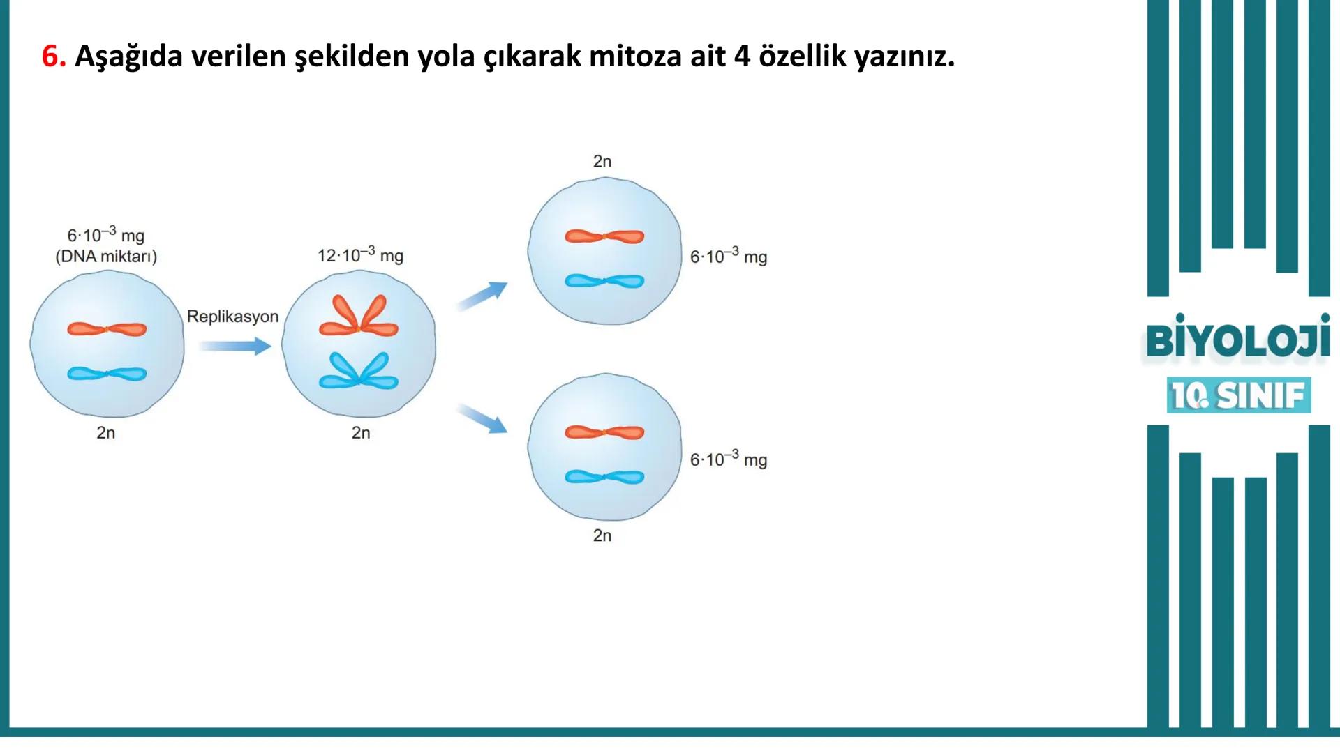 BİYOLOJİ
Kona Anfatimalo
Soru Bankası
小
1.
ÜNİTE
10.SINIF
BENİM
HOCAM
LİSE
Hücre Bölünmeleri
benim hocam
10
11 12
76
2 KAZANIM 10.1.1.1. Can