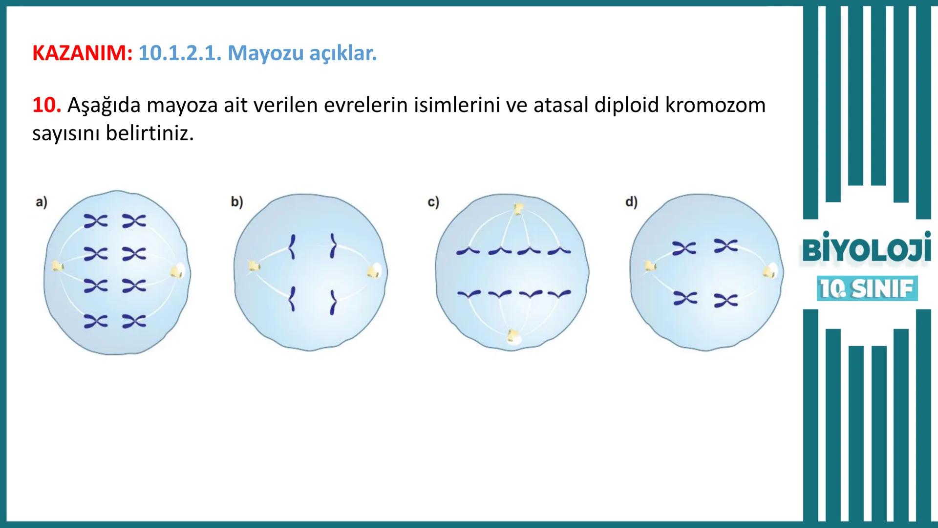 BİYOLOJİ
Kona Anfatimalo
Soru Bankası
小
1.
ÜNİTE
10.SINIF
BENİM
HOCAM
LİSE
Hücre Bölünmeleri
benim hocam
10
11 12
76
2 KAZANIM 10.1.1.1. Can