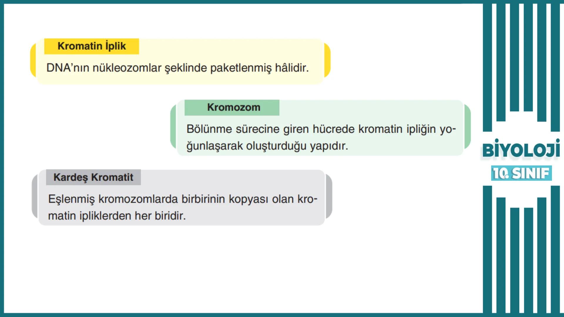 BİYOLOJİ
Kona Anfatimalo
Soru Bankası
小
1.
ÜNİTE
10.SINIF
BENİM
HOCAM
LİSE
Hücre Bölünmeleri
benim hocam
10
11 12
76
2 KAZANIM 10.1.1.1. Can