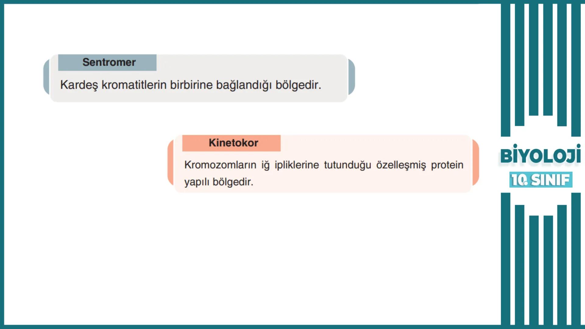 BİYOLOJİ
Kona Anfatimalo
Soru Bankası
小
1.
ÜNİTE
10.SINIF
BENİM
HOCAM
LİSE
Hücre Bölünmeleri
benim hocam
10
11 12
76
2 KAZANIM 10.1.1.1. Can