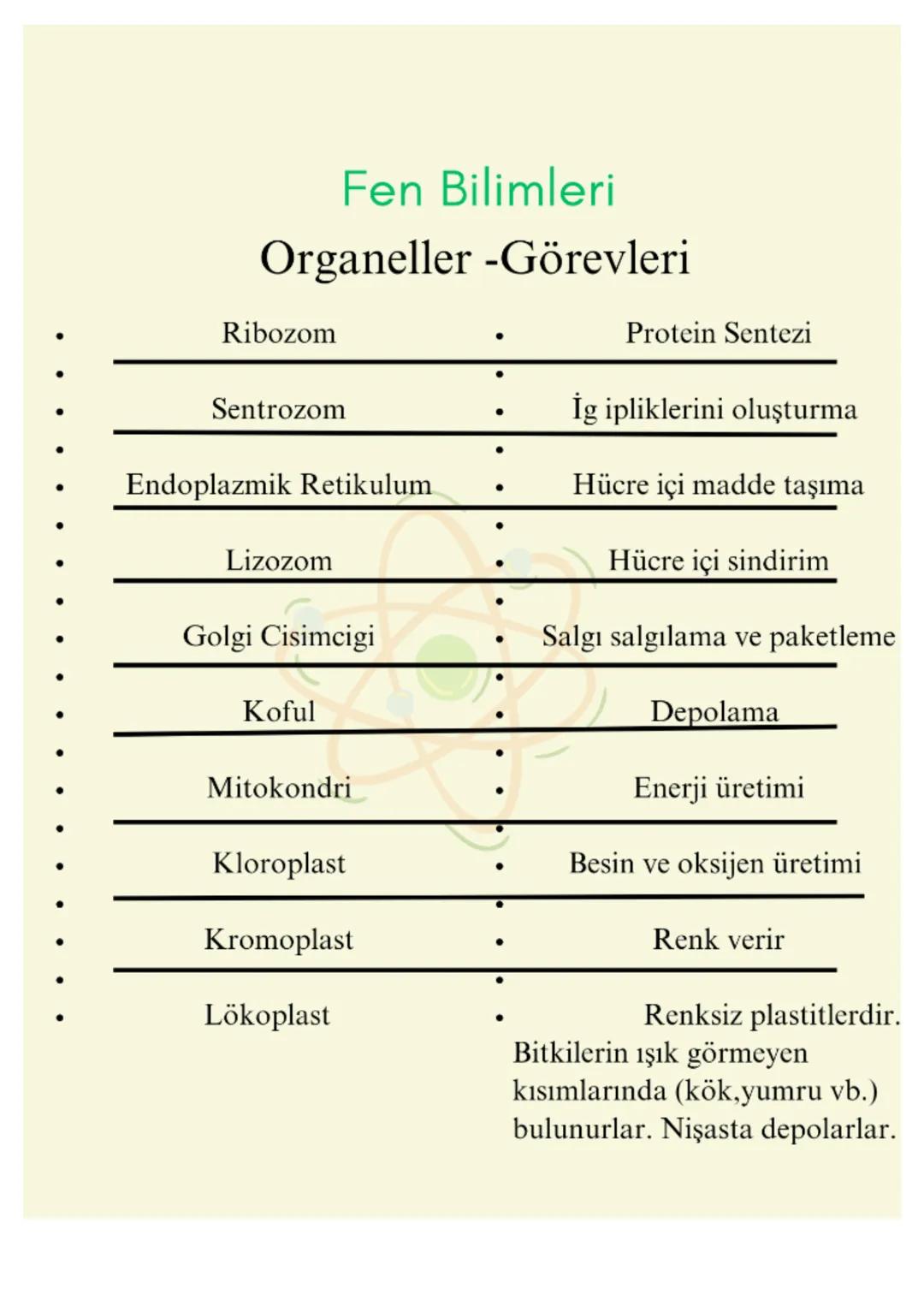 Fen Bilimleri
Organeller-Görevleri
Ribozom
Protein Sentezi
Sentrozom
İg ipliklerini oluşturma
Endoplazmik Retikulum
.
Hücre içi madde taşıma