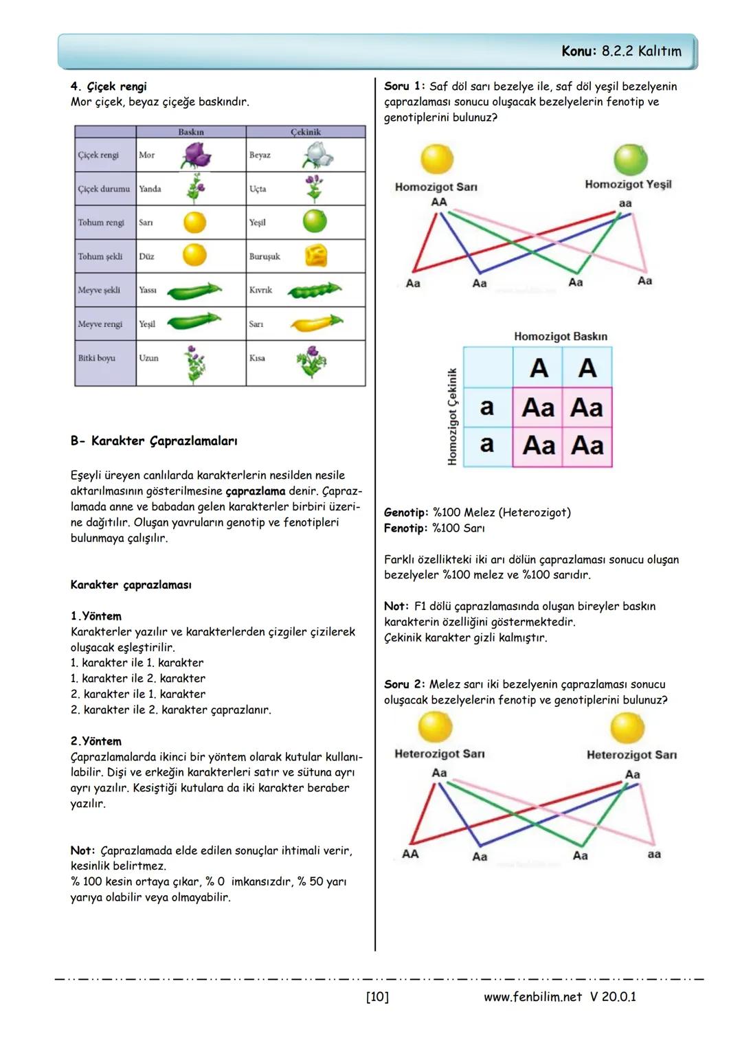8.Sınıf Fen Bilimleri
Ders Notları
Barış ZEREN
Fen Bilimleri Öğretmeni
www.fenbilim.net V 20.0.1 1.Ünite: Mevsimler ve İklim
Konu: 8.1.1 Mev