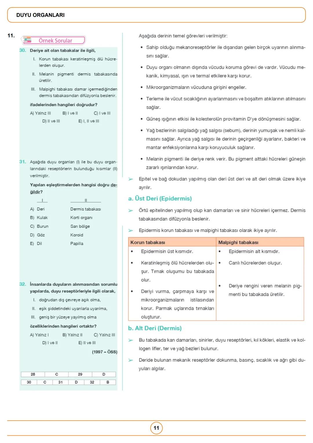 1.
1.
Örnek Sorular
İnsan gözüne ait olan,
1. damar tabaka,
II. ağ tabaka,
III. sert tabaka
yapılarından hangilerinde fotoreseptörler
bulunu