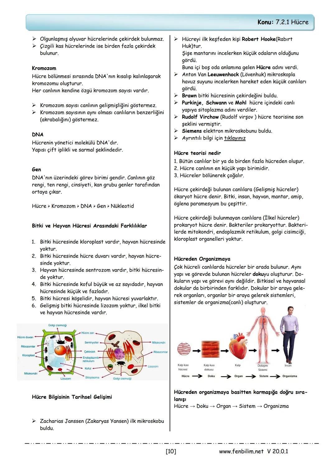 # 2.Ünite: Hücre ve Bölünmeler
Konu: 7.2.1 Hücre
Canlıların canlılık özelliğini gösteren en küçük yapıtaşı-
na hücre denir.
➤ Canlıların