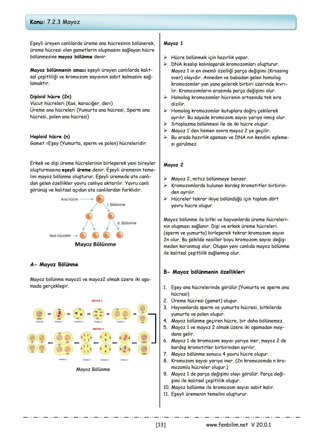 # 2.Ünite: Hücre ve Bölünmeler
Konu: 7.2.1 Hücre
Canlıların canlılık özelliğini gösteren en küçük yapıtaşı-
na hücre denir.
➤ Canlıların