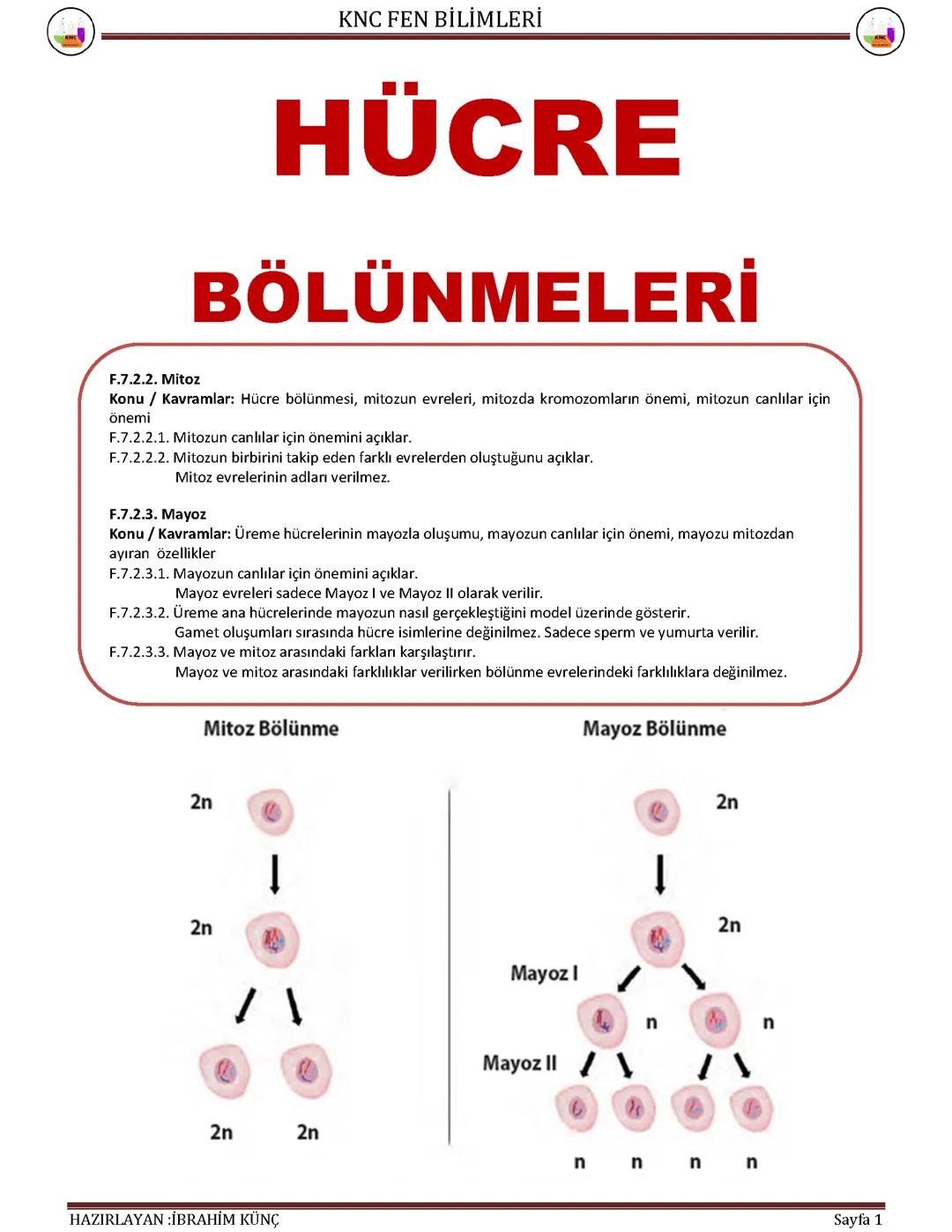 7.sınıf Fen Bilimleri