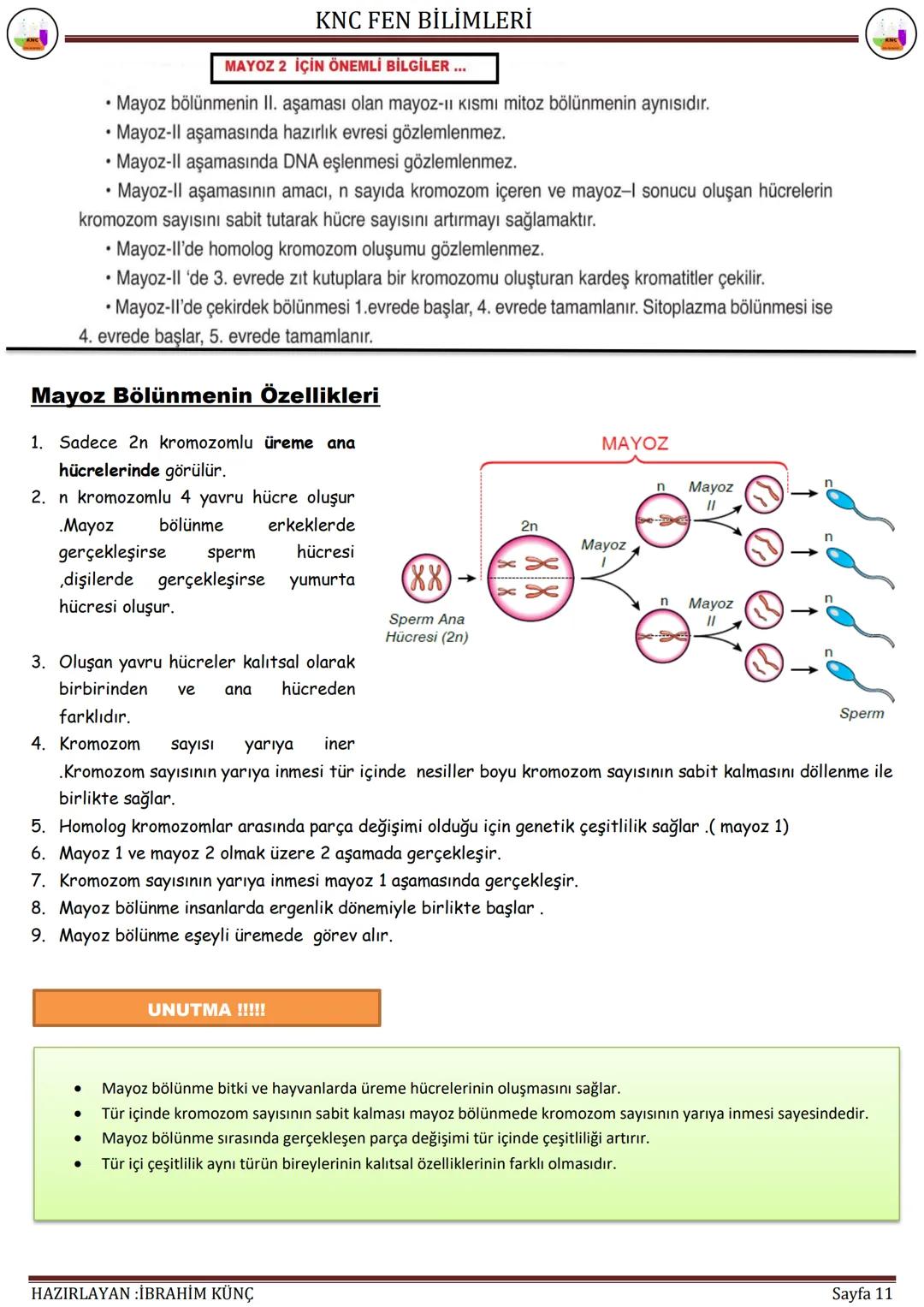 KNC FEN BİLİMLERİ
HÜCRE
BÖLÜNMELERİ
F.7.2.2. Mitoz
Konu / Kavramlar: Hücre bölünmesi, mitozun evreleri, mitozda kromozomların önemi, mitozun