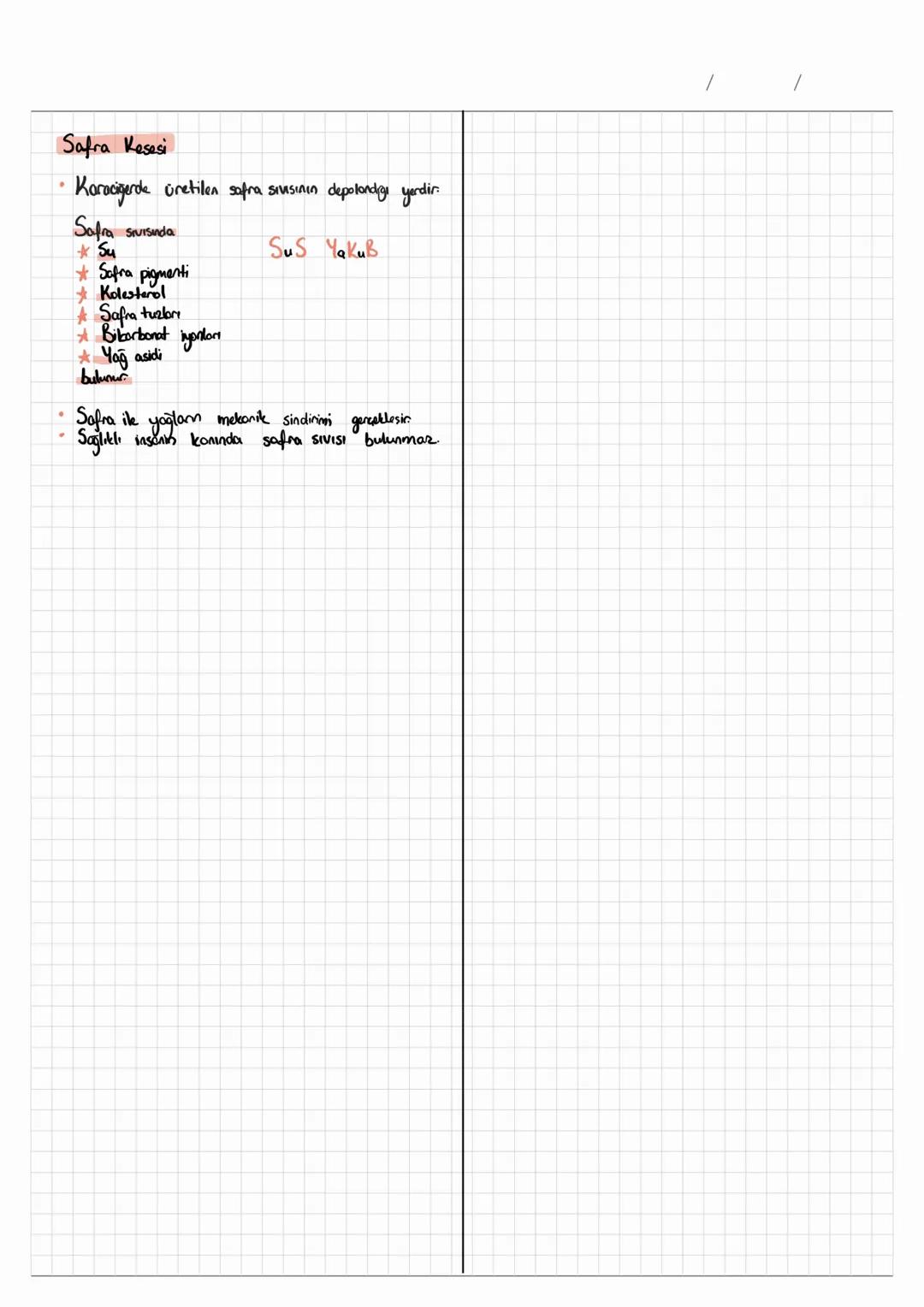•
SİNDİRİM SİSTEMİ
• Besinlerin yapı taşlarına kadar parçalanarak
hücre zarından geçebilecek hale
denir.
•
• Sindicim mekanik ve
gelmesine
T