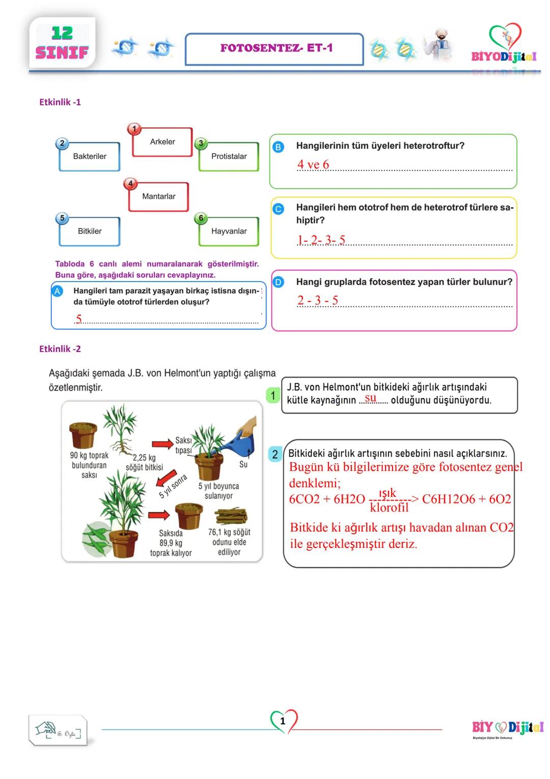 12
SINIF
Etkinlik -1
Bakteriler
5
Bitkiler
Arkeler
Mantarlar
FOTOSENTEZ- ET-1
BİYODijital
B
Protistalar
C
Hayvanlar
Tabloda 6 canlı alemi nu