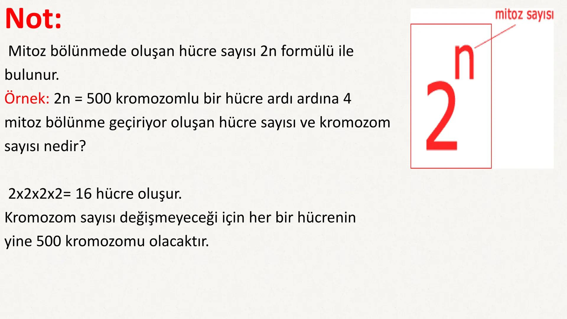 HÜCRE BÖLÜNMESİ HÜCRE BÖLÜNMESİ NEDİR?
Belirli bir büyüklüğe ulaşan hücrelerden, yeni hücrelerin oluşmasına "hücre
bölünmesi" denir.
Hücre b